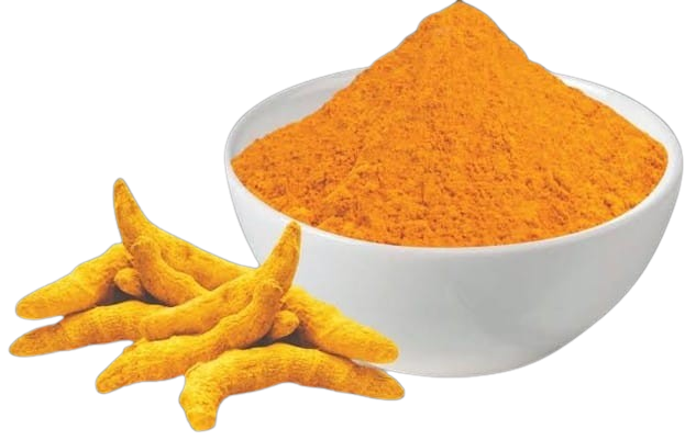 todays fresh turmeric powder