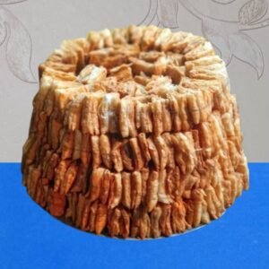 Today's Fresh Namkeen Silao Khaja