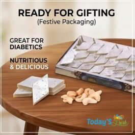 Today’s Fresh Sugar Free Kaju Barfi (Kaju Katli) | Diabetic Friendly Premium Cashew Katli | Healthy Festive Sweet